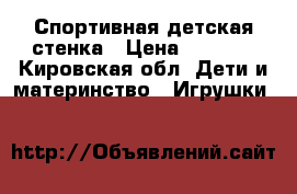 Спортивная детская стенка › Цена ­ 3 000 - Кировская обл. Дети и материнство » Игрушки   